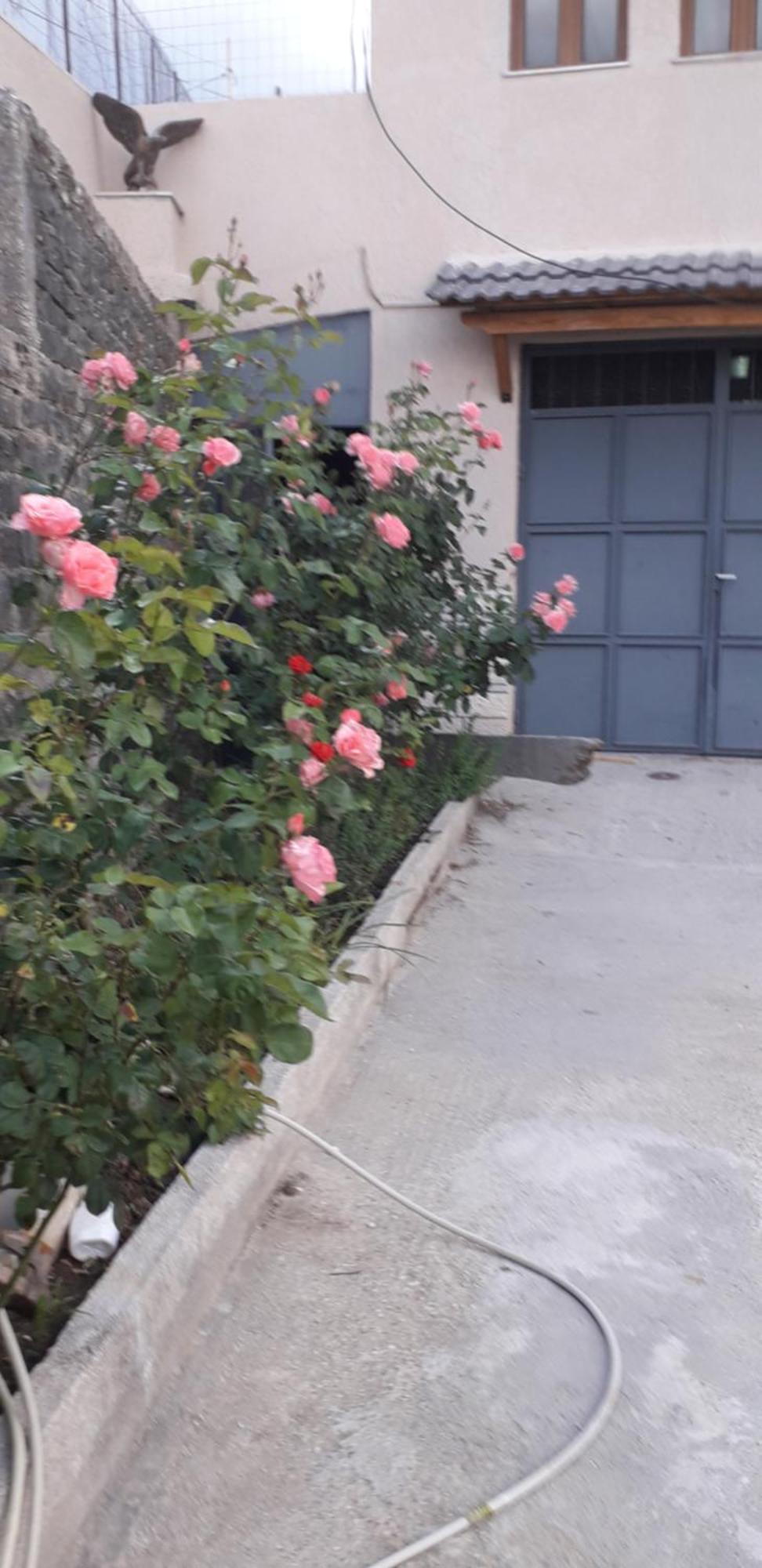 Shena Guest House Gjirokastër 외부 사진